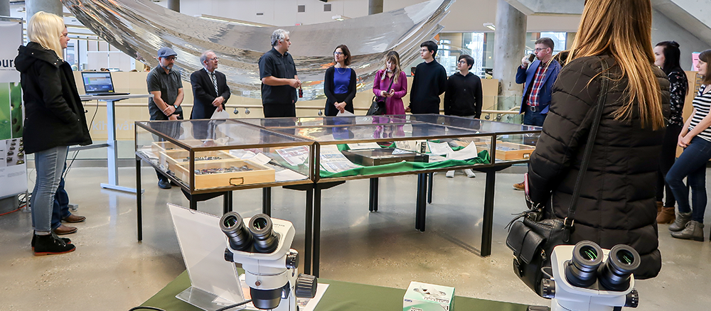 Professor Terzin presenting at the opening of the Living Colours biomimicry library exhibit