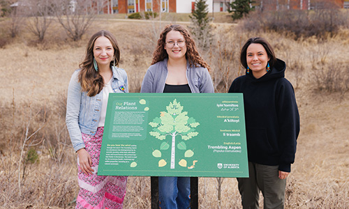 Three people standing outside with a green interpretive sign that features information about a Trembling Aspen tree.