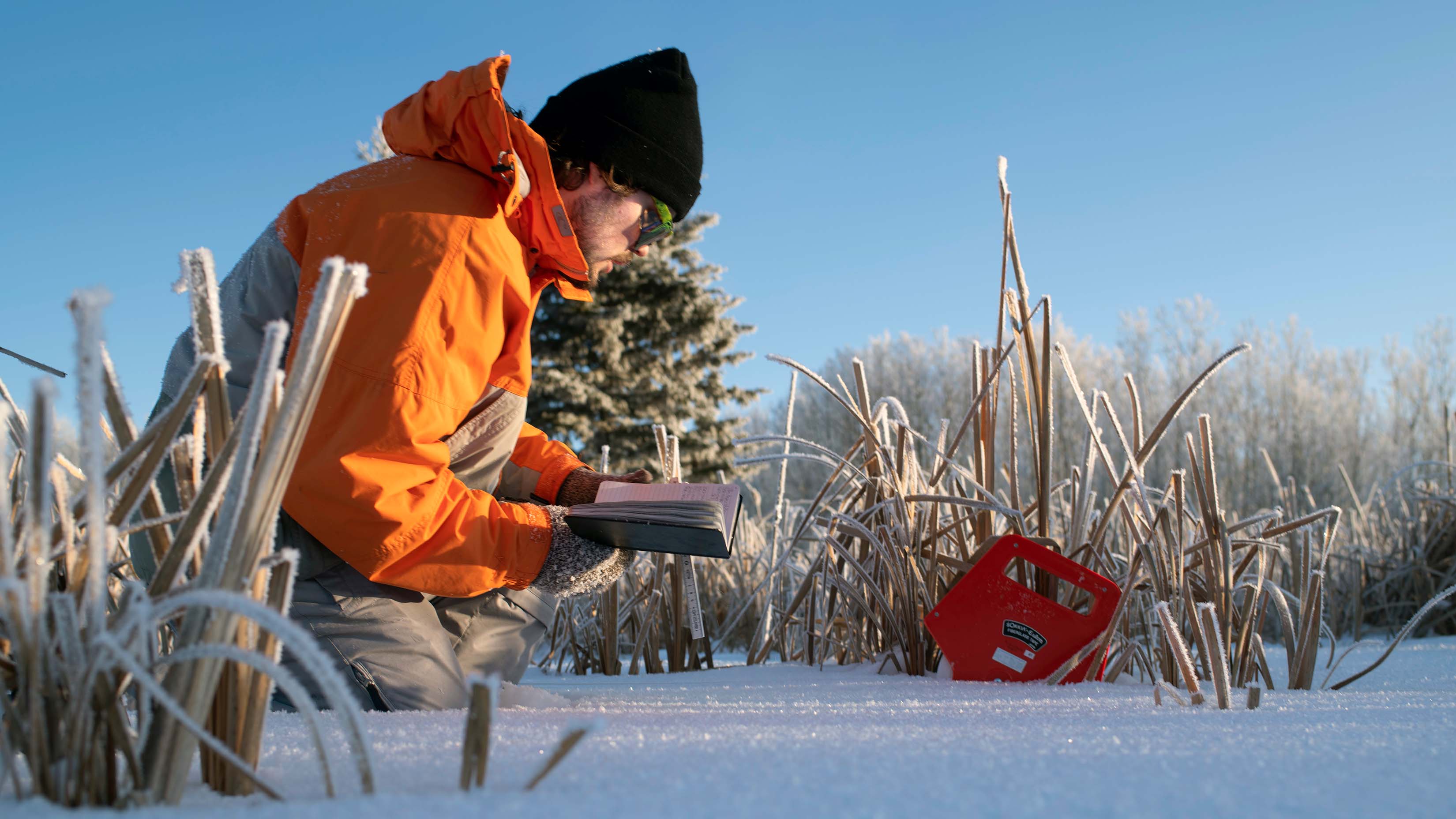 Banner image for Environmental Science