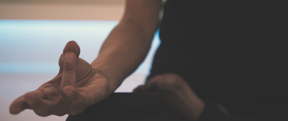 Banner image for Health + Wellness