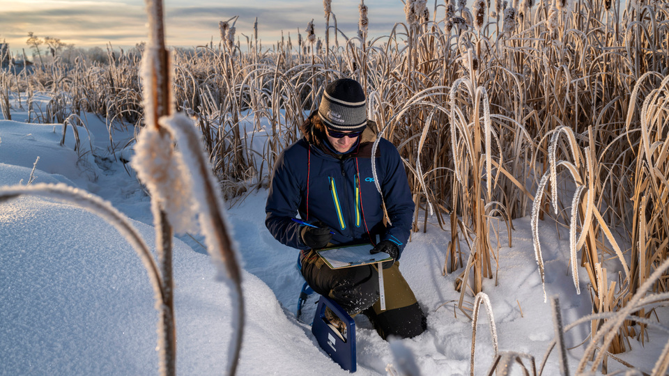 A student kneels down in the snow on a winter day in a field while filling out notes during an Experiential Learning opportunity.