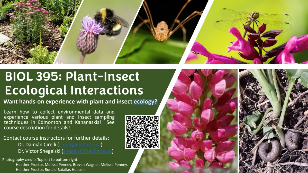 $_EscapeTool.xml(${imageAlt.value})