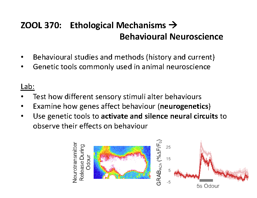 ZOOL 350 course advertisement