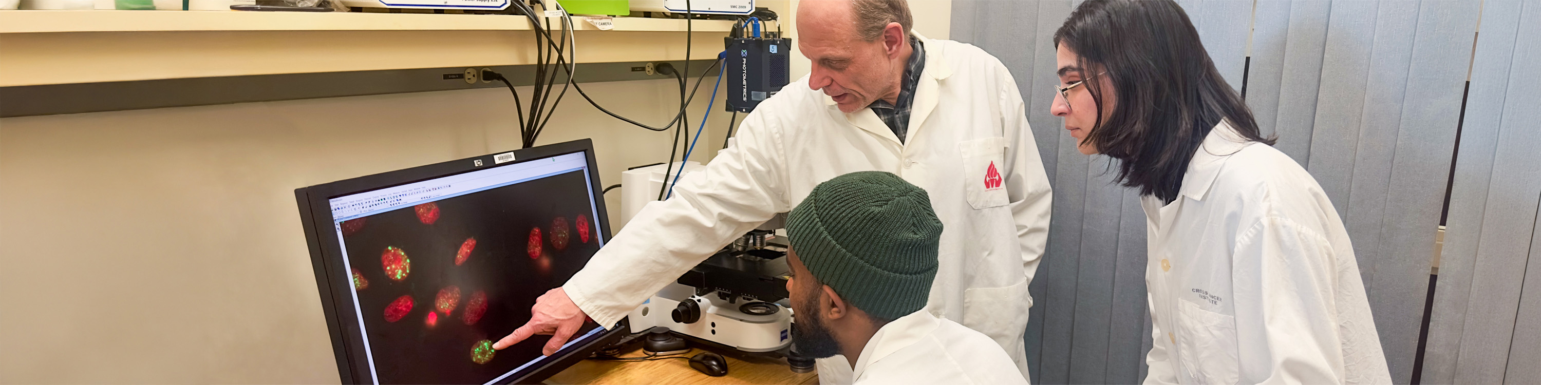 Three researchers looking at cancer cells