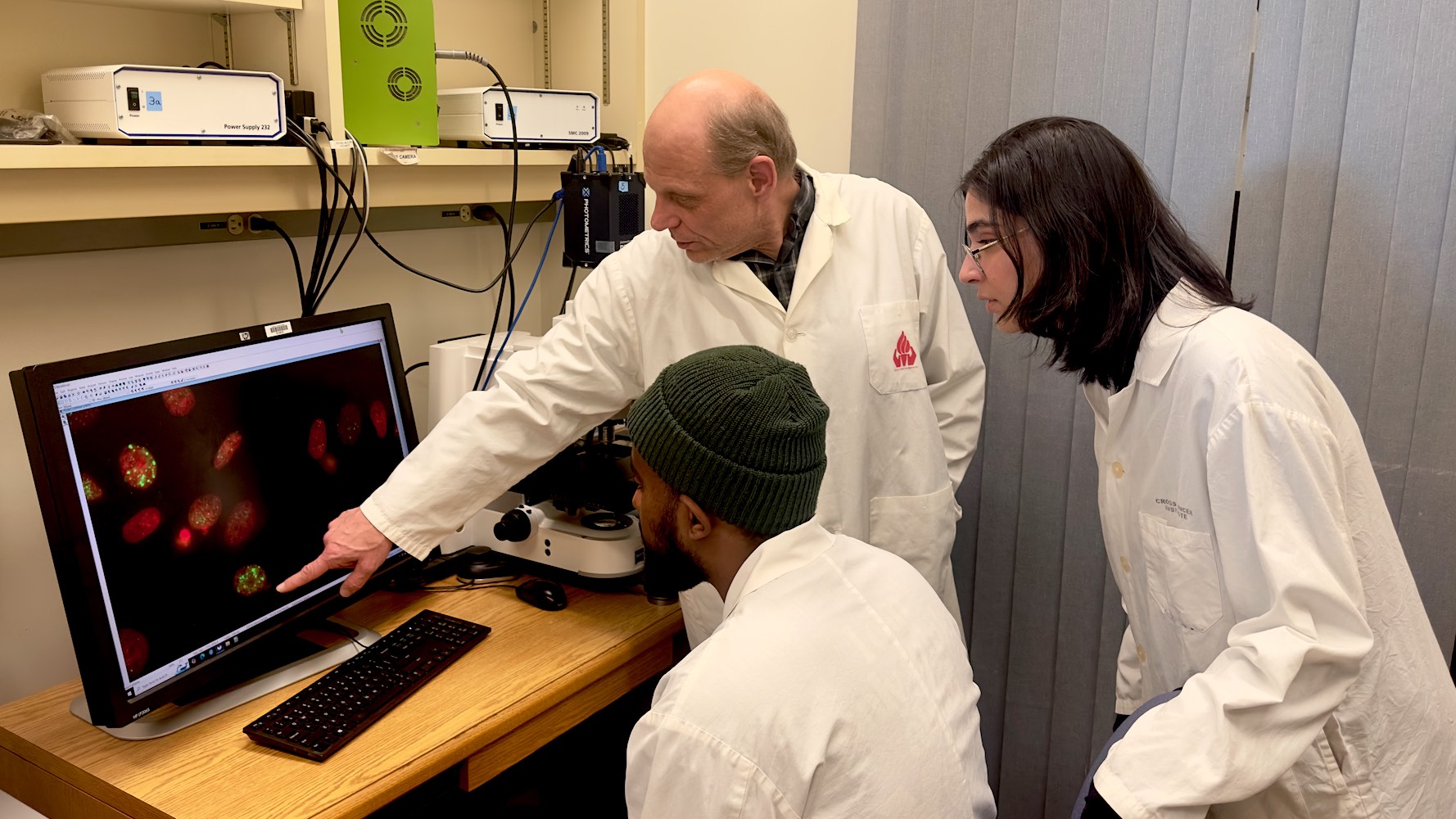 Three researchers looking at cancer cells