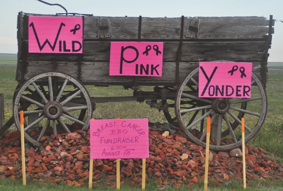 Wild Pink Yonder signs