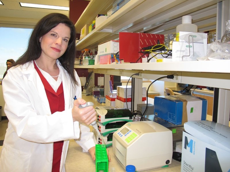 Lynne-Marie Postovit