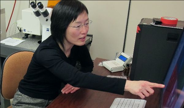 $_EscapeTool.xml(${alt})