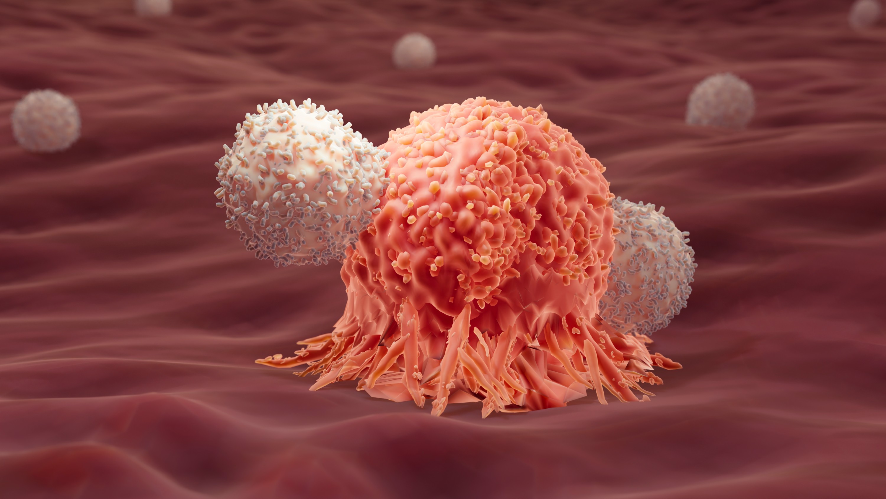 cancer cell