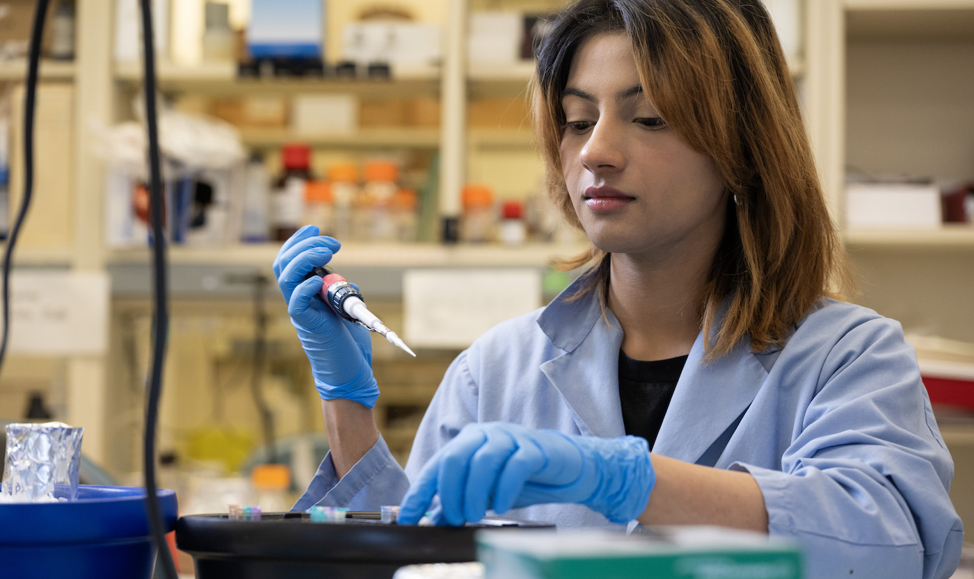 Researcher pipetting samples