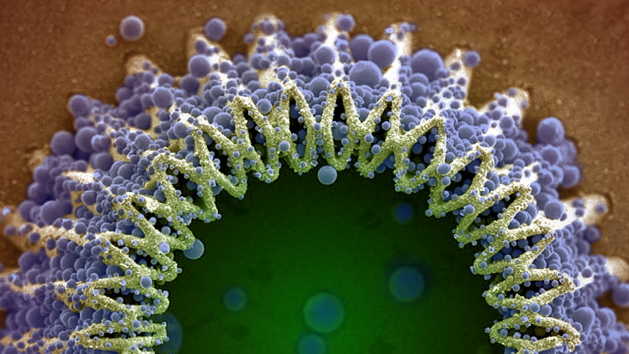 Microscopic tiny robot.  