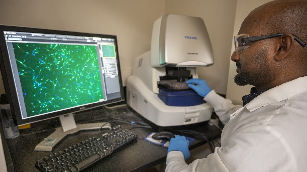 Man looking at a data on the computer
