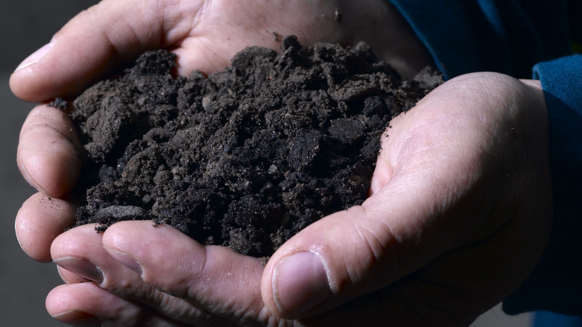 A person's hands holding sand