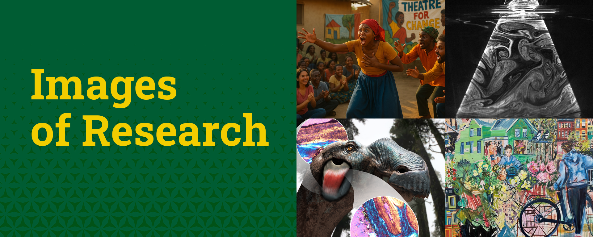 Images of Research 2025