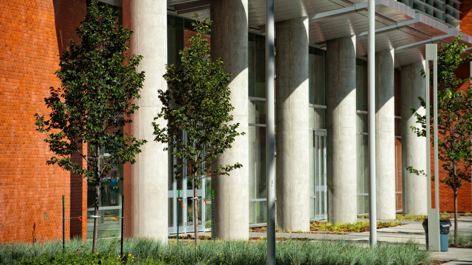 Image cannot be displayed