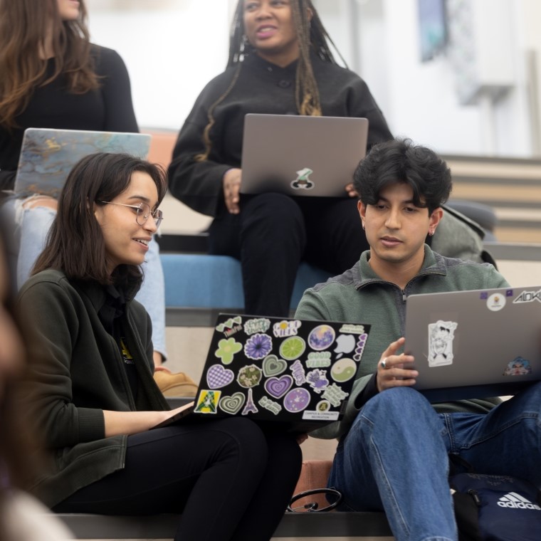A group of students sitting and using laptops