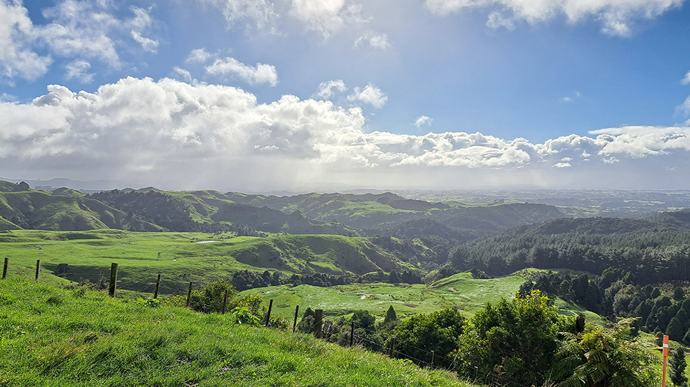 Green hills of New Zealand