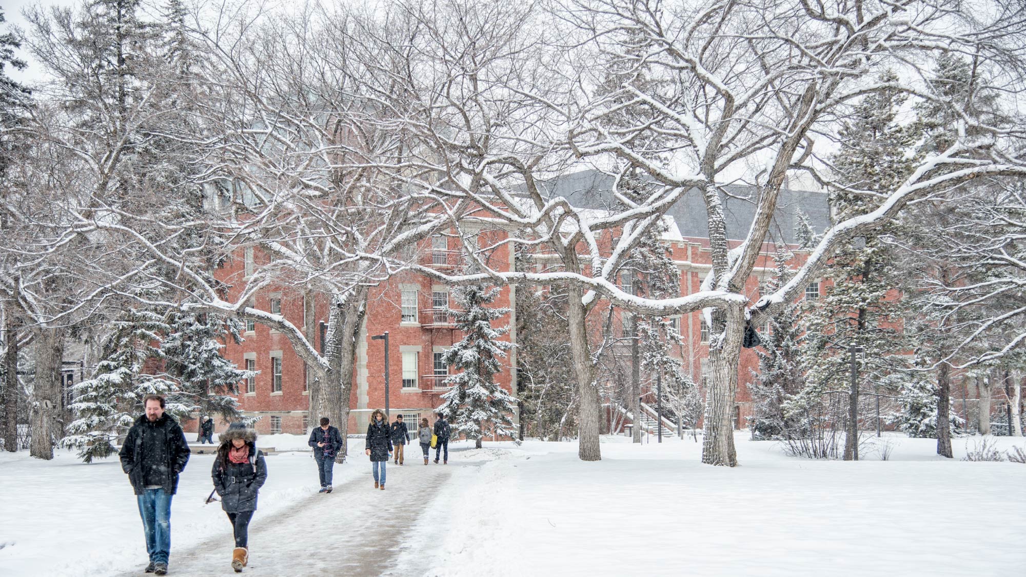 Students walk through the pathways in winter on North Campus.