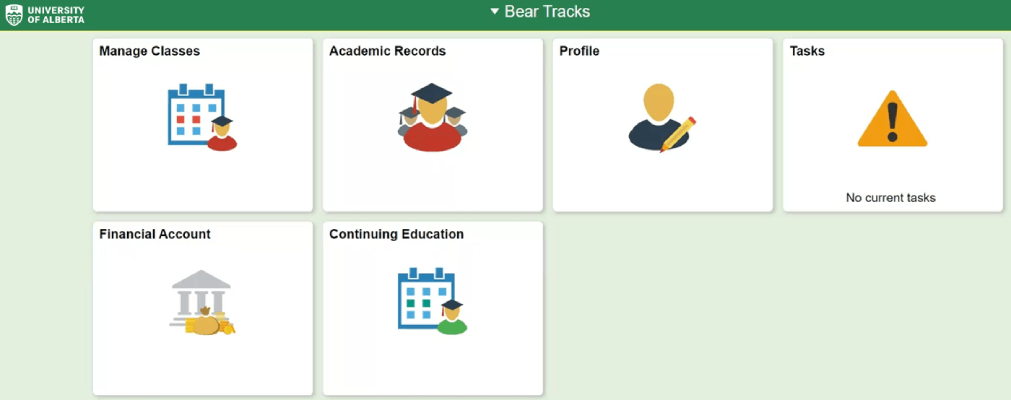Screenshot of BearTracks. Financial tile is the fifth tile (first tile, second row).