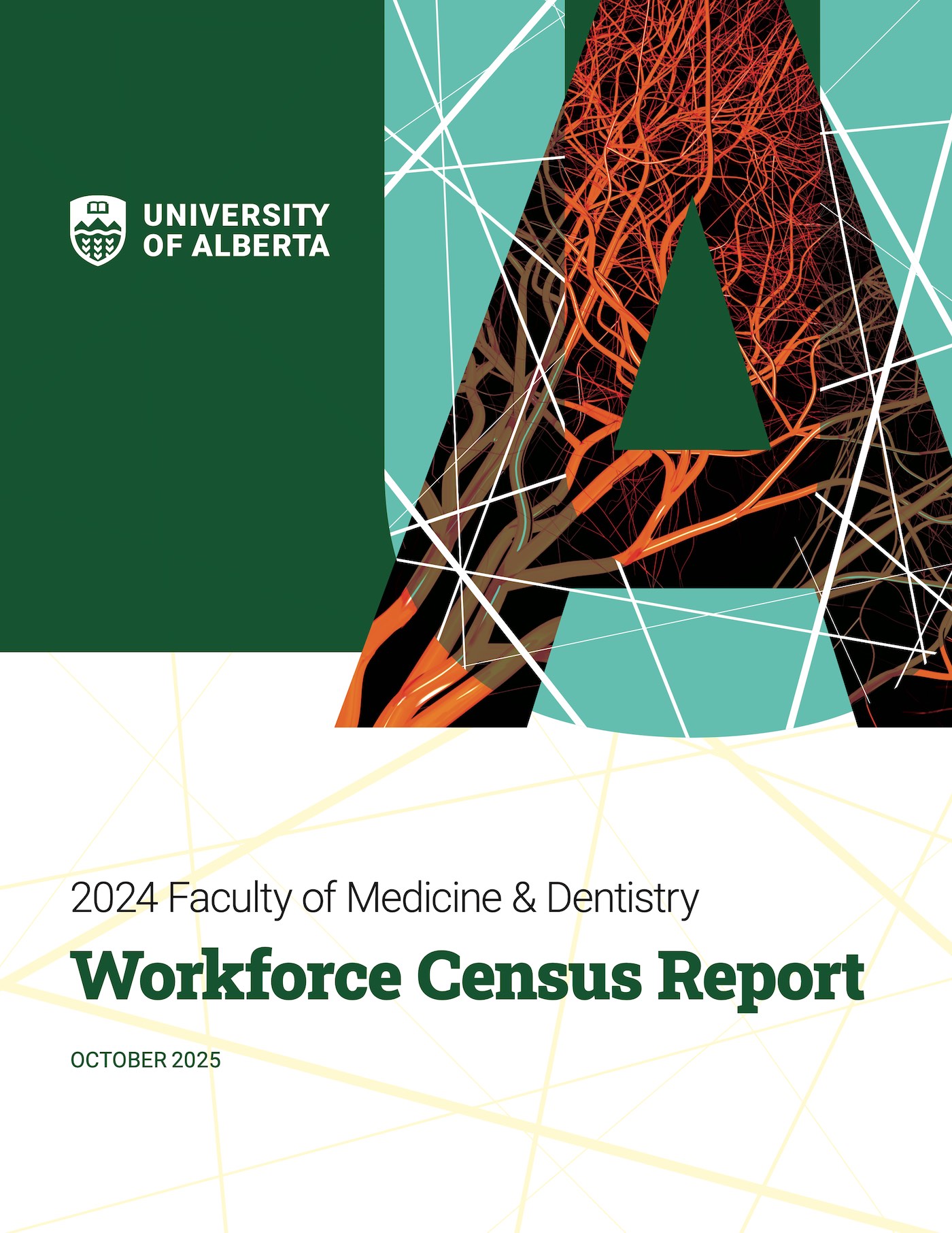 Cover of publication 2024 Workforce Census Report