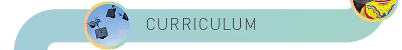 Curriculum