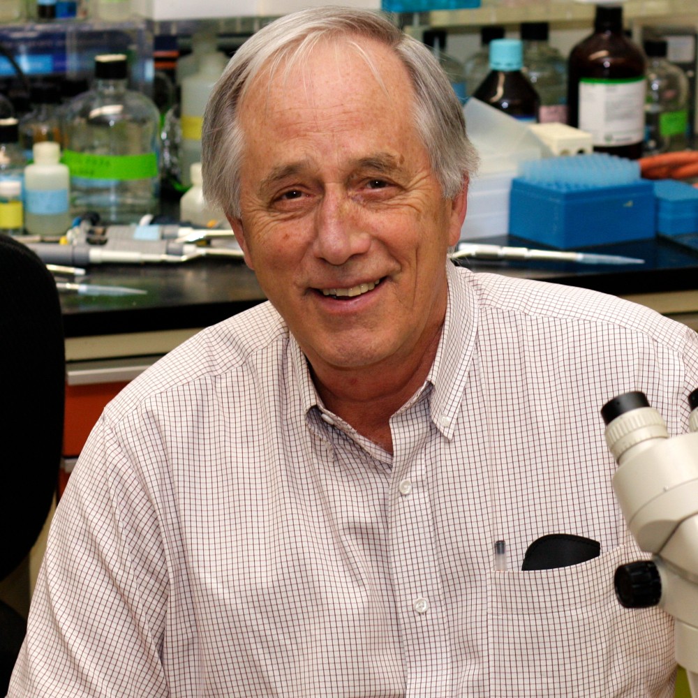 Studio headshot of Michael James