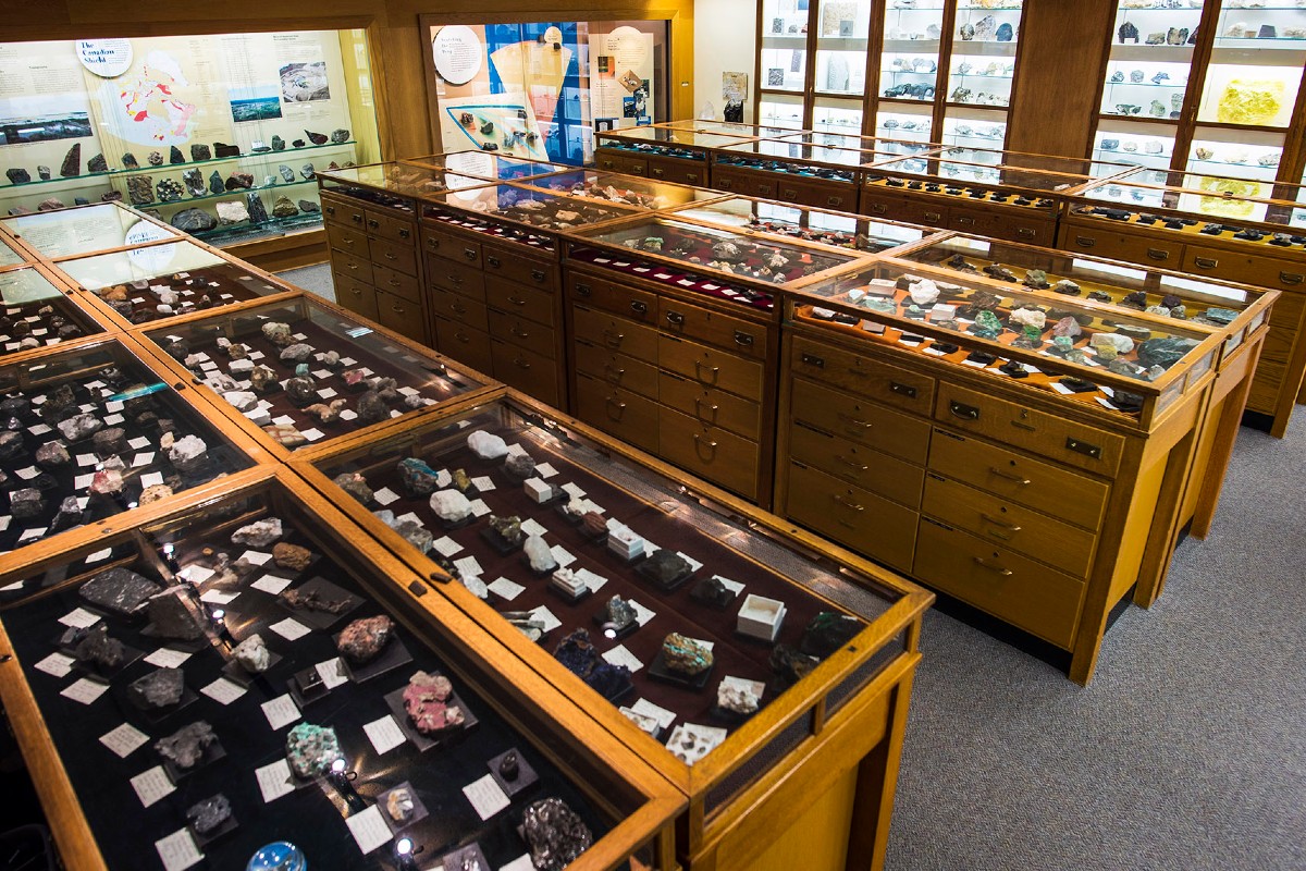 Room showcasing rocks and minerals