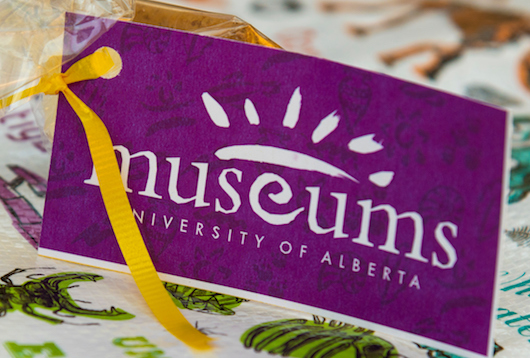 Image cannot be displayed