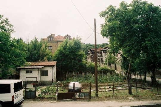 Houses on the side of a green hill