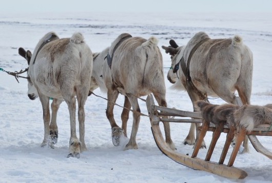 Image cannot be displayed