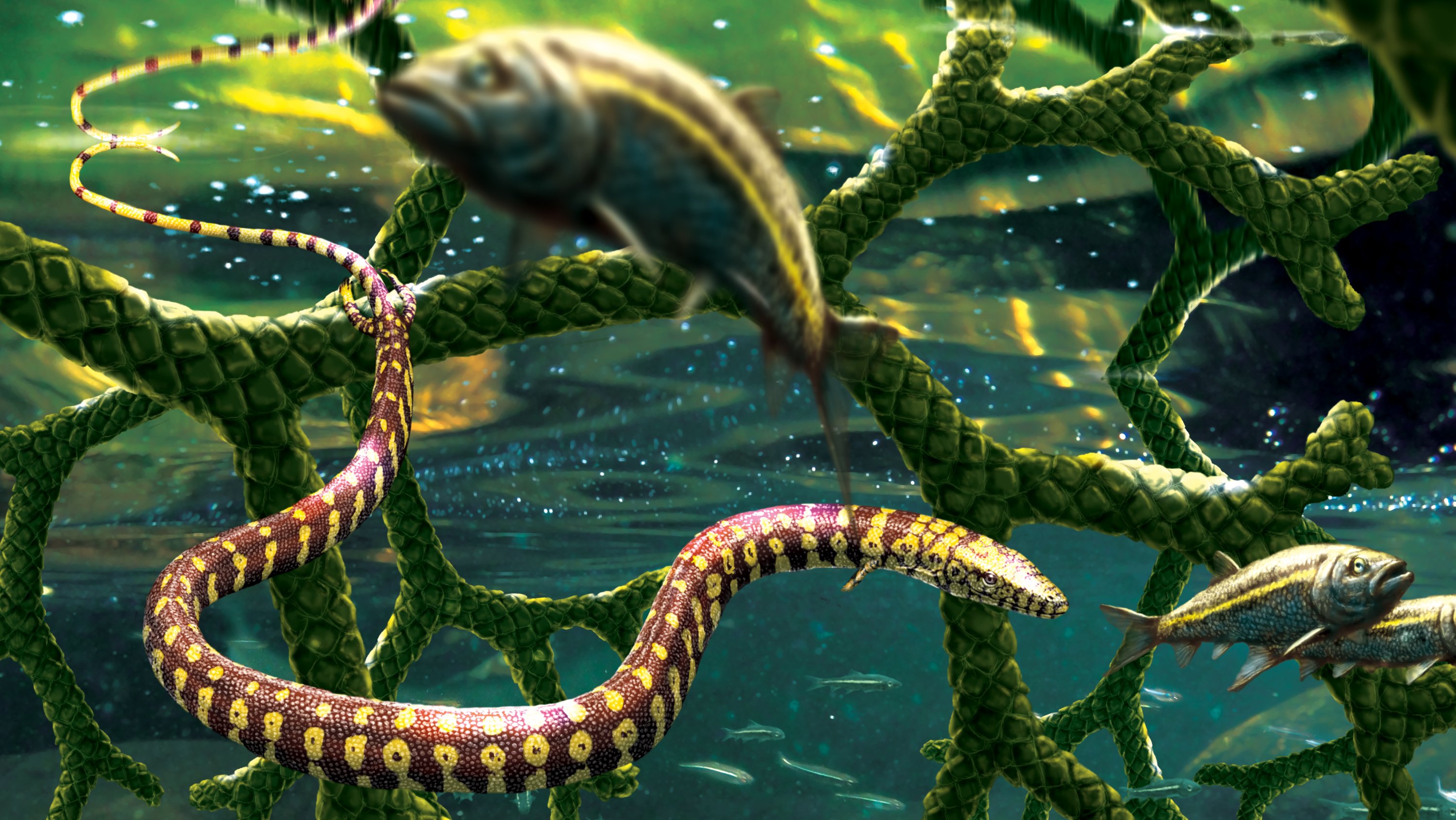 211118-snake-fossil-main-3000x1690px.jpeg