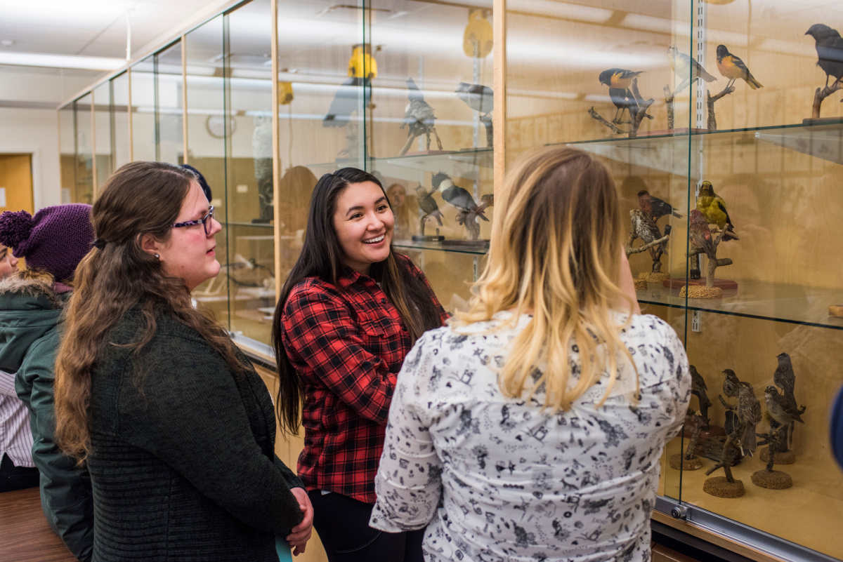 A woman leading a tour and standing beside the collection.