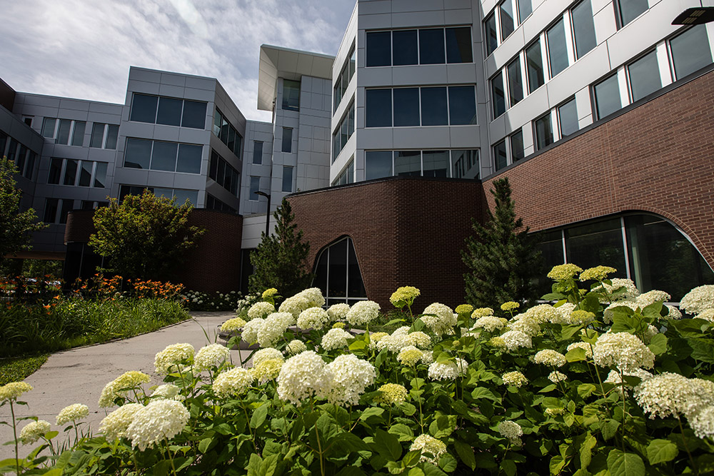 $_EscapeTool.xml(${imageAlt.value})