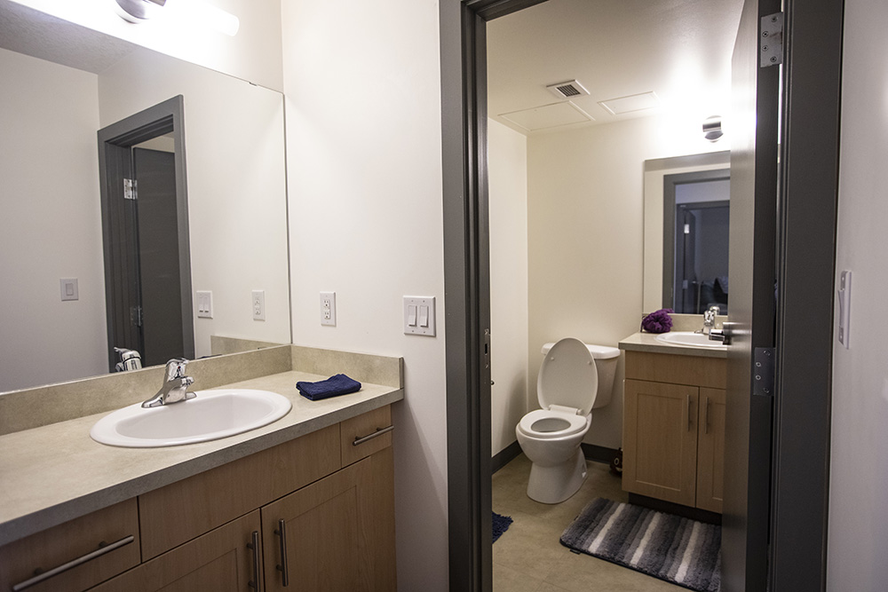 $_EscapeTool.xml(${imageAlt.value})