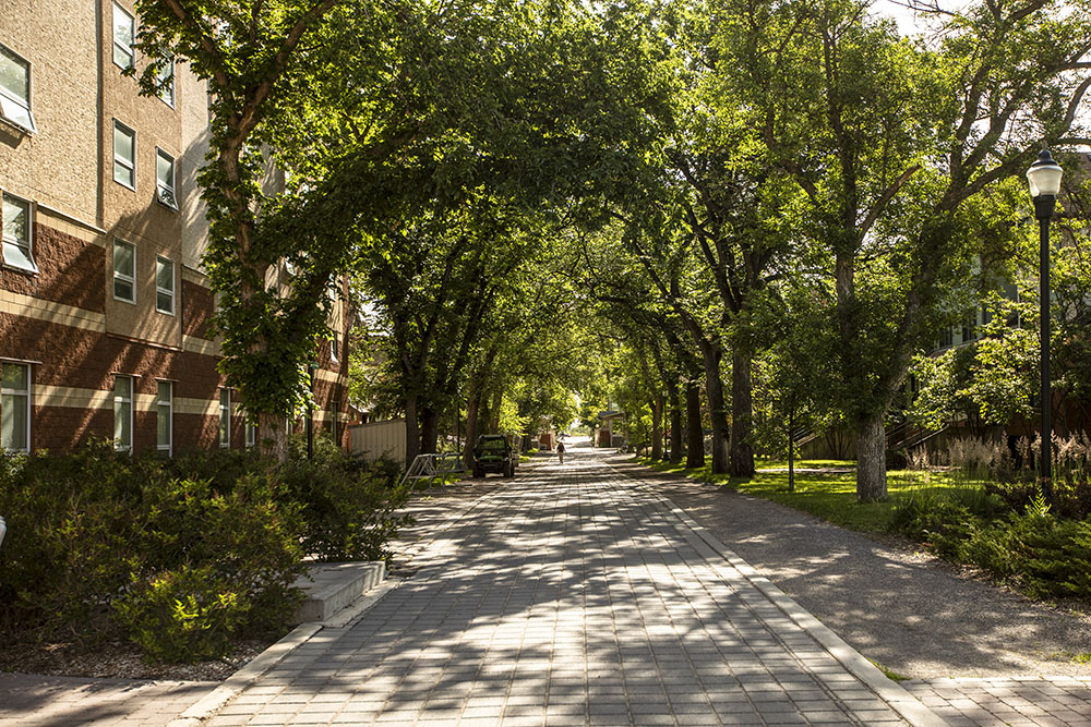 $_EscapeTool.xml(${imageAlt.value})