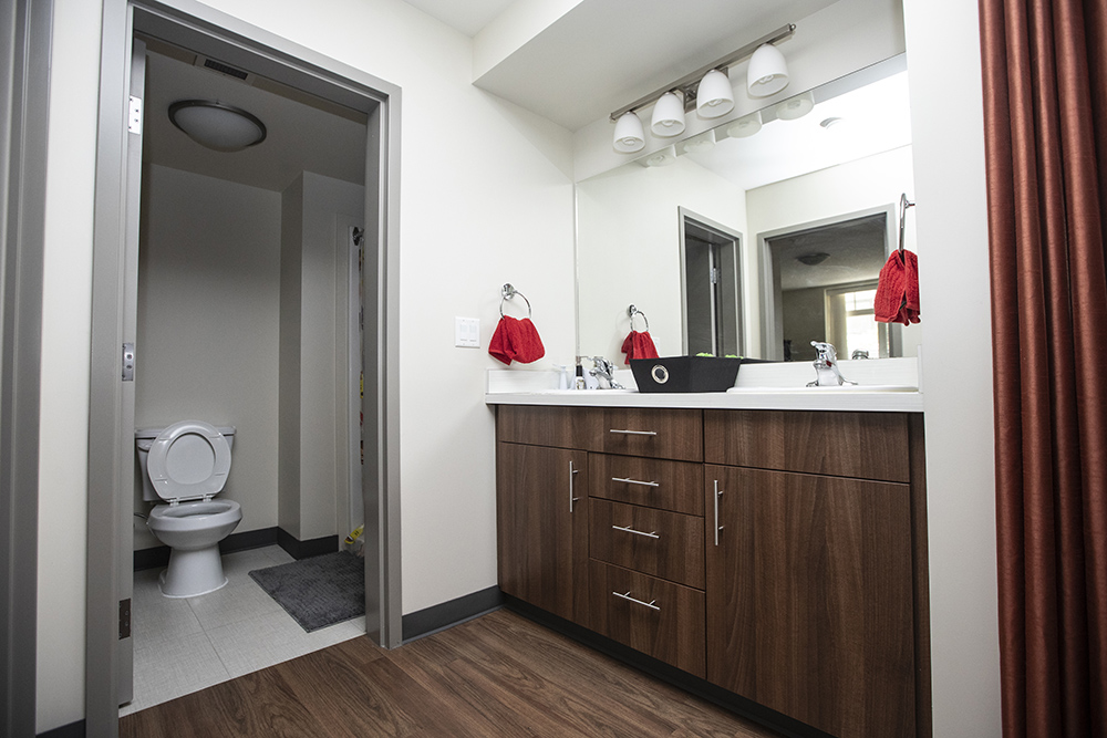 $_EscapeTool.xml(${imageAlt.value})