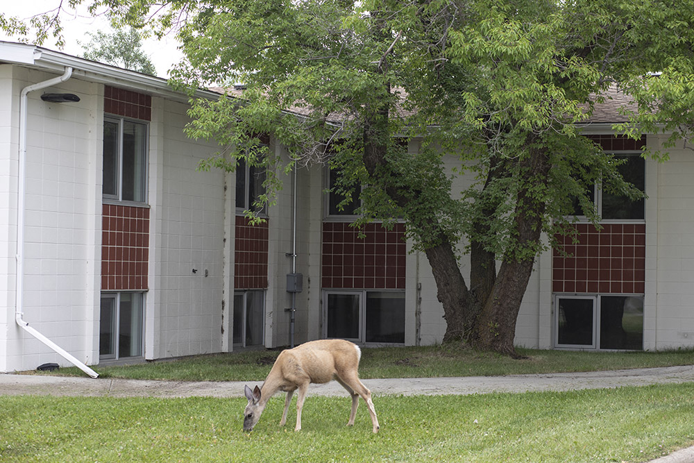 $_EscapeTool.xml(${imageAlt.value})