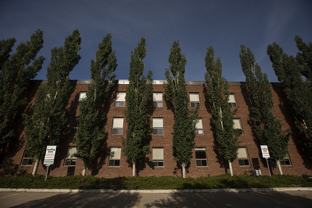 $_EscapeTool.xml(${imageAlt.value})