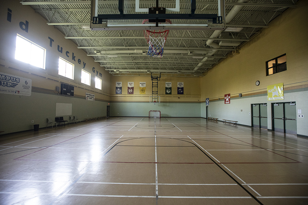 $_EscapeTool.xml(${imageAlt.value})