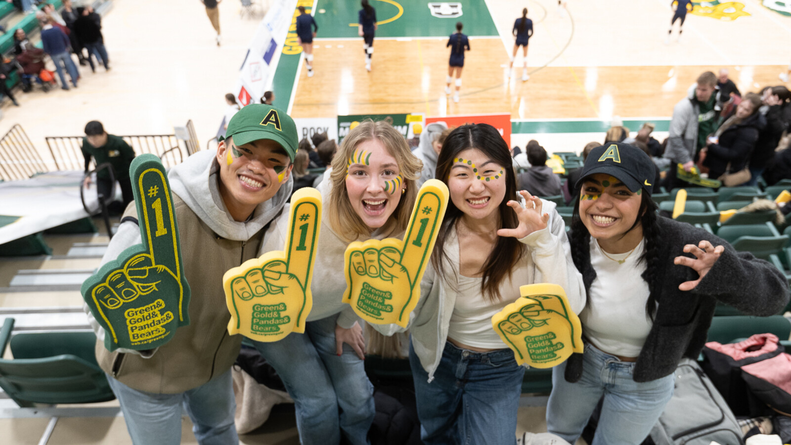 Students in festive green and gold gear pose in the stands with the Pandas volleyball team behind them.