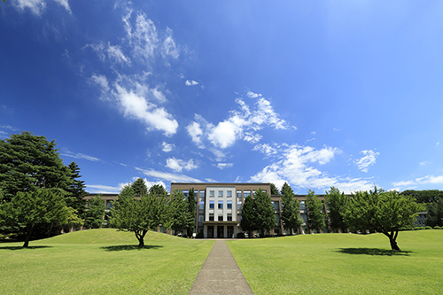 International Christian University