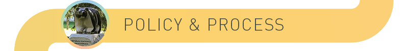 Policy process