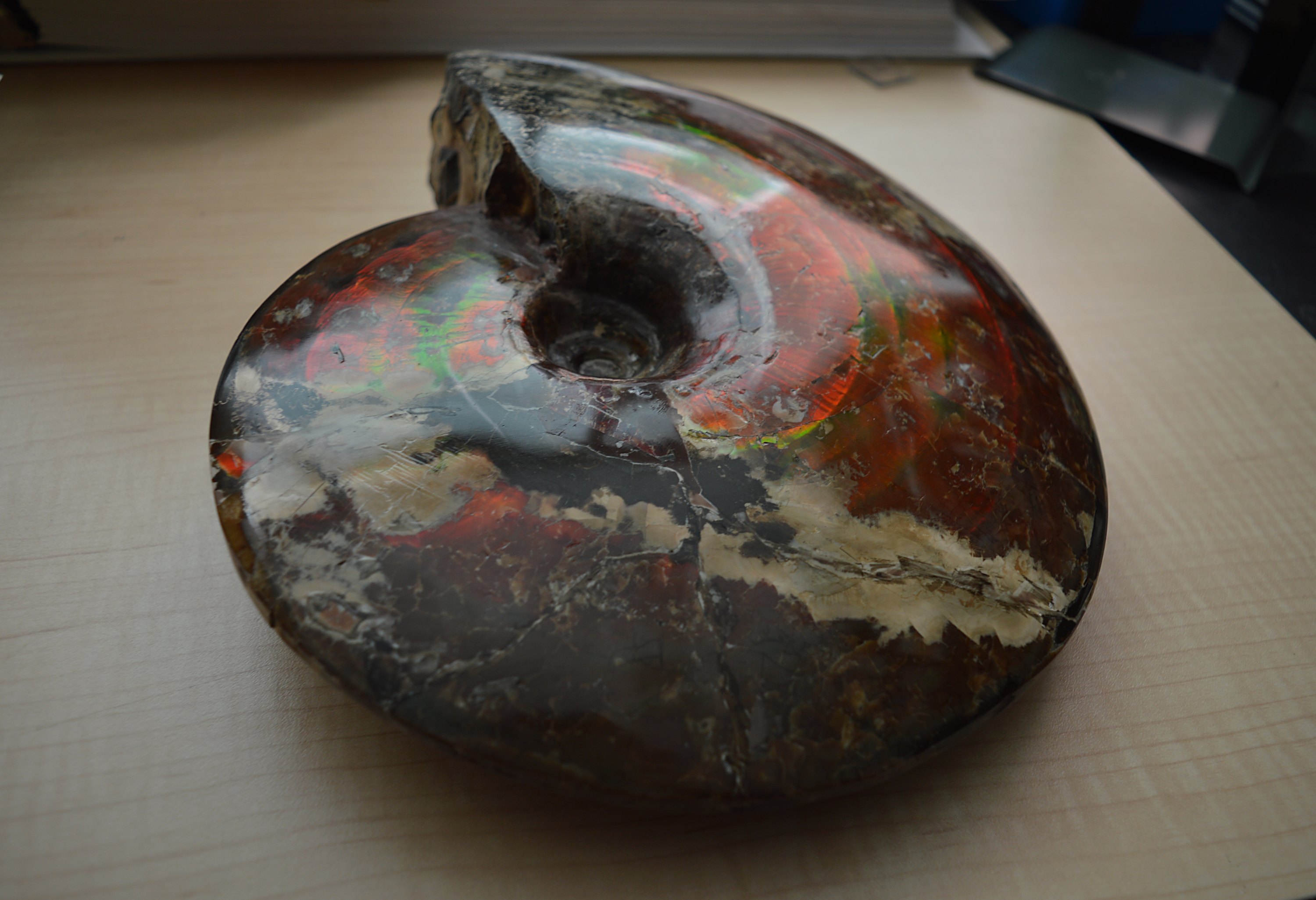 220401-ammolite-sample-table-3000px.jpeg